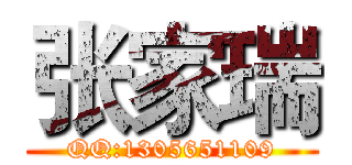 张家瑞 (QQ:1305651109)