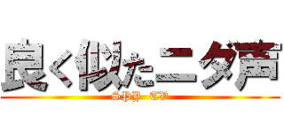 良く似たニダ声 (SPY  TV)