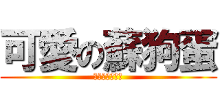 可愛の蘇狗蛋 (蘇狗蛋啊蘇狗蛋)