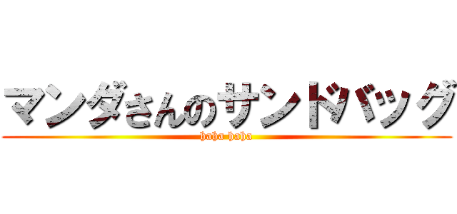 マンダさんのサンドバッグ (haha haha)