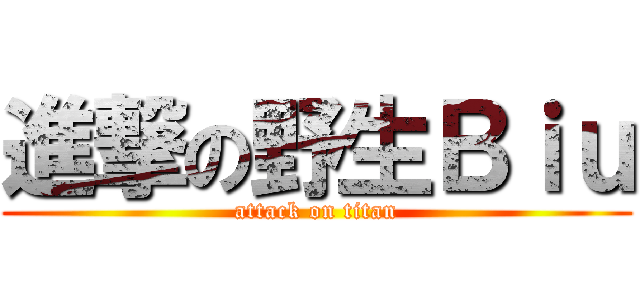 進撃の野生Ｂｉｕ (attack on titan)