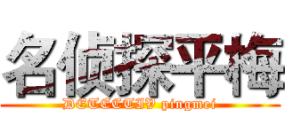 名侦探平梅 (DETECTIV pingmei)