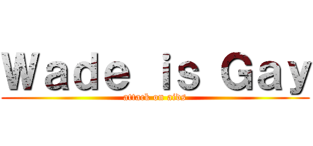 Ｗａｄｅ ｉｓ Ｇａｙ (attack on aids)
