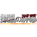 撩亂の屏幕 (Chaos on Screen)