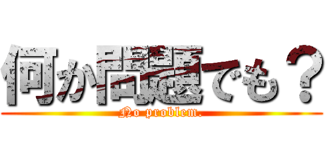 何か問題でも？ (No problem.)