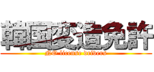 韓国変造免許 (NO license drivers)