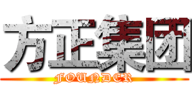 方正集团 (FOUNDER)