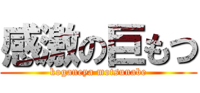 感激の巨もつ (koganeya motsunabe)