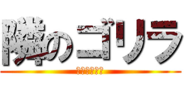 隣のゴリラ (隣の人ゴリラ)