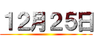 １２月２５日 ()