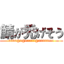 鯖が禿げそう (3336@2@62222@33333111)