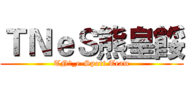 ＴＮｅＳ熊皇餒 (TN〃_e-Sport.Team)