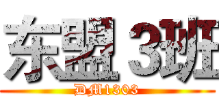 东盟３班 (DM1303)
