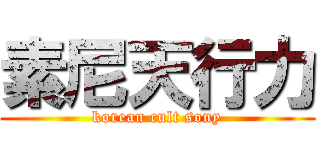 素尼天行力 (korean cult sony)