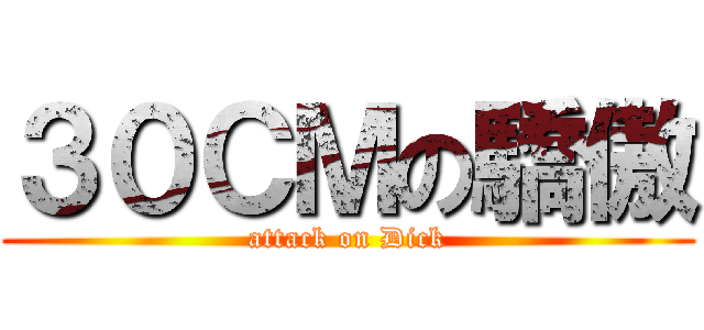 ３０ＣＭの驕傲 (attack on Dick)