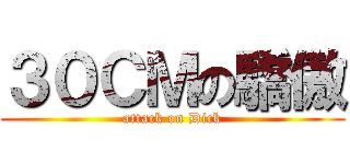 ３０ＣＭの驕傲 (attack on Dick)