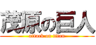 茂原の巨人 (attack on titan)