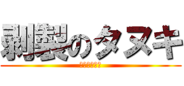 剥製のタヌキ (薔薇色の愛情)