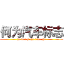 何为汽车标志 (he wei qi che biao zhi)