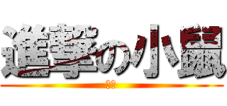 進撃の小鼠 (小鼠)