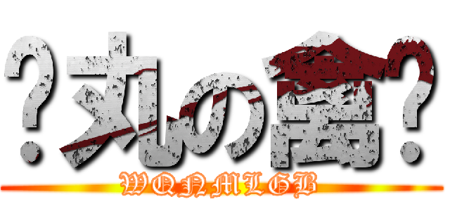 红丸の禽兽 (WQNMLGB)