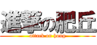 進撃の肥丘 (attack on hong)