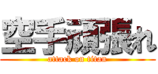 空手頑張れ (attack on titan)