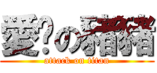 愛妳の豬豬 (attack on titan)