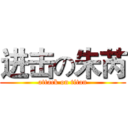 进击の朱芮 (attack on titan)