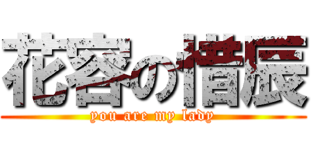 花容の惜辰 (you are my lady)