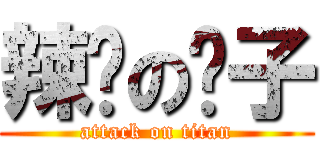 辣雞の妮子 (attack on titan)