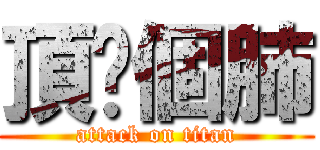 頂妳個肺 (attack on titan)