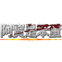 阿寶是笨蛋 (silly girl)