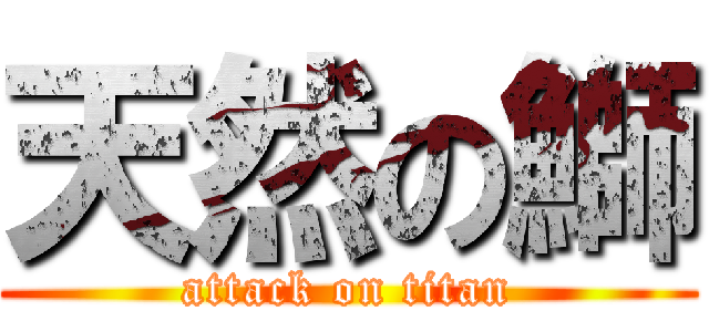 天然の鰤 (attack on titan)