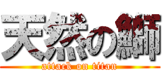 天然の鰤 (attack on titan)