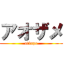 アオザメ (otinpo)