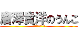 唐澤貴洋のうんこ (公職選挙法違反弁護士)