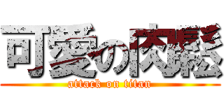 可愛の肉鬆 (attack on titan)