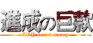 進成の巨款 (LDY secret money)