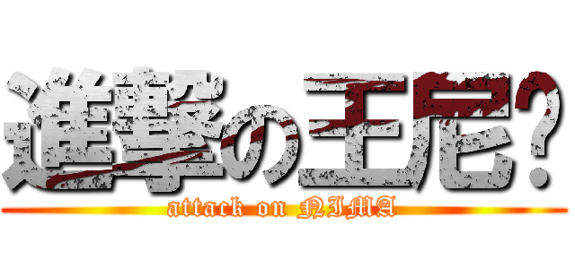 進撃の王尼码 (attack on NIMA)