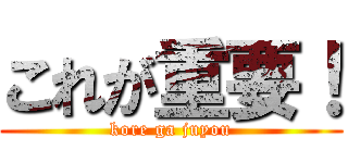 これが重要！ (kore ga juyou)