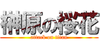 榊原の桜花 (attack on titan)