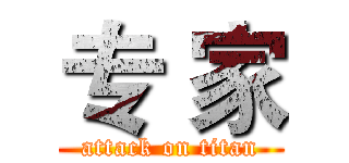 专 家 (attack on titan)