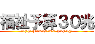 福祉予算３０兆 (SPY PARADICE JAPAN)