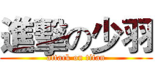 進擊の少羽 (attack on titan)