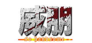 威朋 (so handsome)