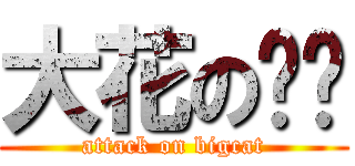 大花の貓貓 (attack on bigcat)