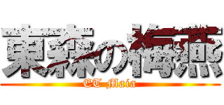 東森の梅燕 (ET Maia)