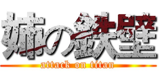 姉の鉄壁 (attack on titan)
