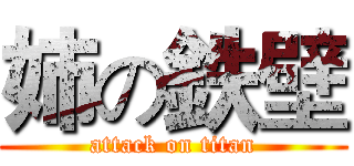 姉の鉄壁 (attack on titan)